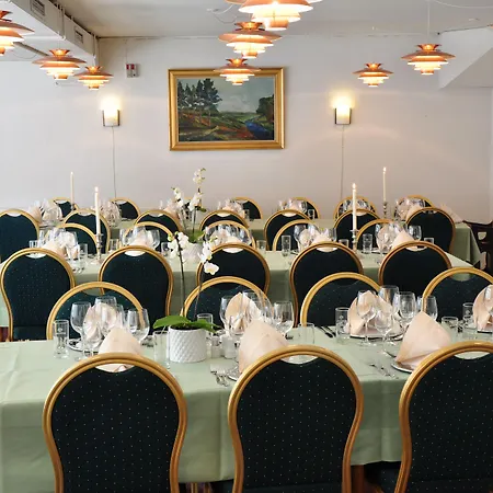 Hotel Vildbjerg Hotel 3*