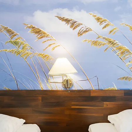 维尔比约酒店 酒店 维尔比约