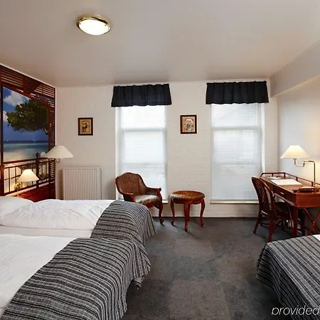 ホテル Hotel Vildbjerg 3*