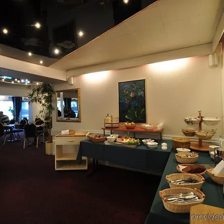 Hotel Vildbjerg 3*
