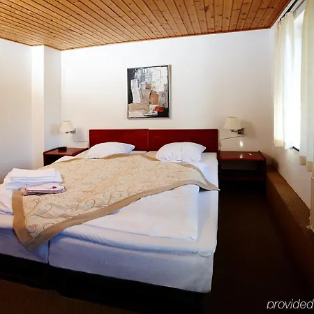 Hotel Vildbjerg 3* ווילדביירג