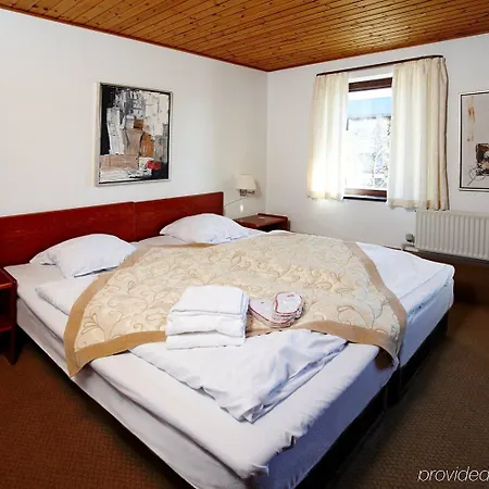 Hotel Vildbjerg Hotel 3*