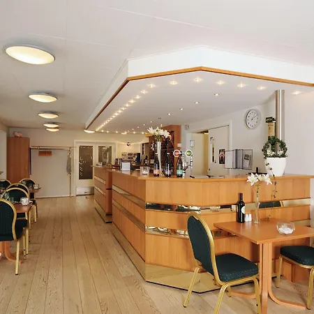 Hotel Vildbjerg מלון 3*