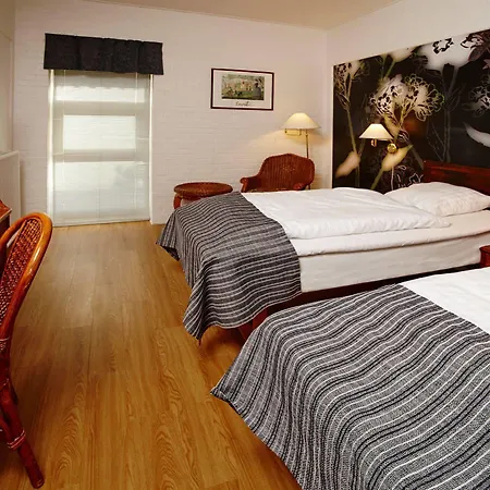 Hotel Vildbjerg 3*