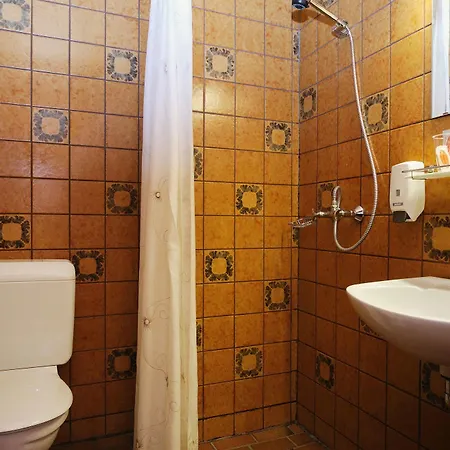 Hotel Vildbjerg 3*