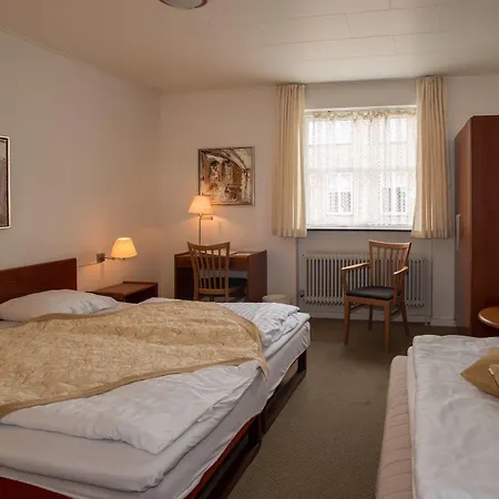 Hotel Vildbjerg מלון ווילדביירג