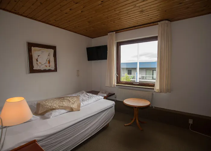 Hotel Vildbjerg 3*