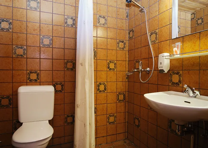 Hotel Vildbjerg 3* Vildbjerg