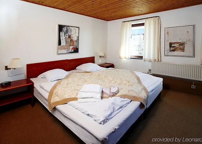 Hotel Vildbjerg Hotel 3*